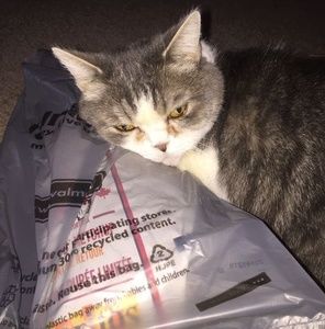 Meet your Posher, Christine